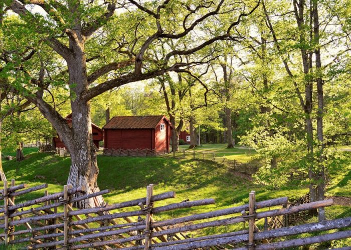 Idyllic Swedish red houses in a sunny summer landscape with greenery and wooden fences.